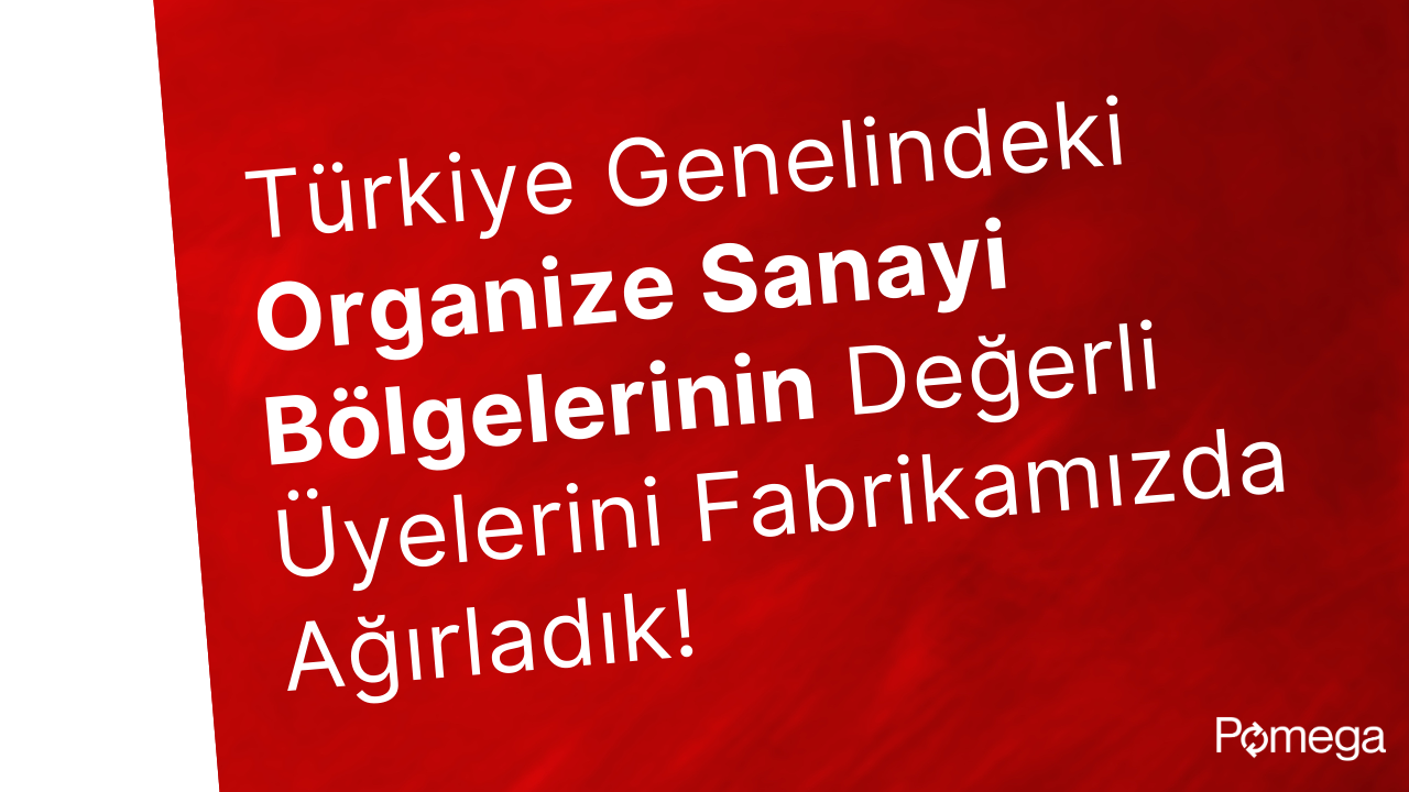 Pomega Enerji Depolama Teknolojileri olarak