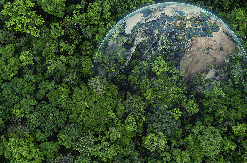 Pomega'nın sürdürülebilirlik taahhüdü ürünlerinin ötesine uzanıyor...