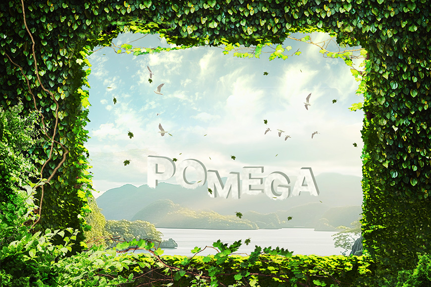 Sürdürülebilirlik İlkeleri